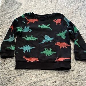 Dinosaur Print Kids Sweatshirt l 3T
